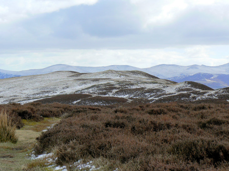 Whinlatter Top Whinlatter Top